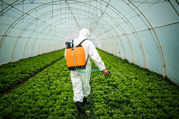 Professional Pest Control in Massanetta Springs, VA