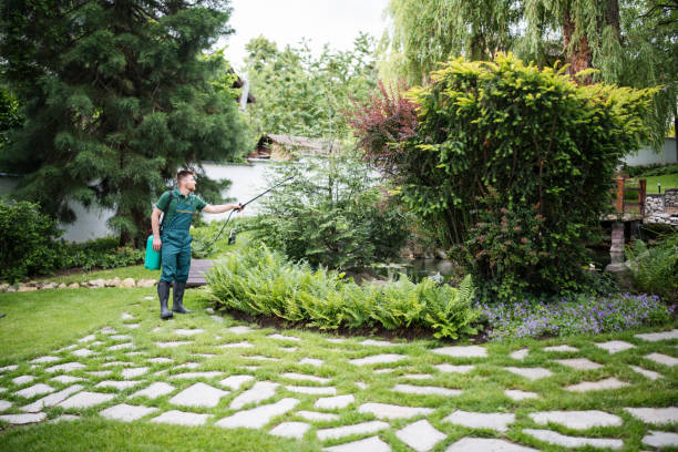 Best Residential Pest Control  in Massanetta Springs, VA
