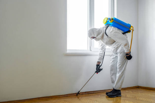Best Termite Control Services  in Massanetta Springs, VA