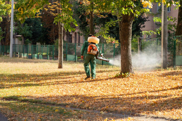 Pest Control for Restaurants in Massanetta Springs, VA