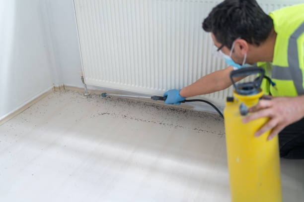 Best Pest Control Cost  in Massanetta Springs, VA